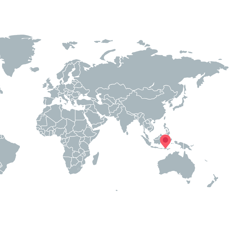 Carte du monde avec position de Bali